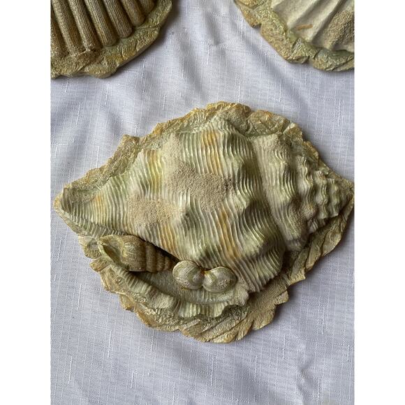 Set of 3 Sea Shell Wall Art 3-D, rough sand-like plaster or resin Apx 7-8" EUC - Picture 7 of 13